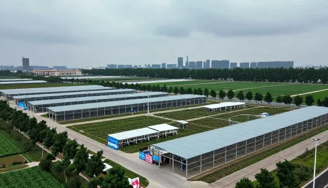 康复指导行业专业支持如何驱动业务持续升级